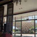 거진시내 | 다낭 시내 힐튼호텔 리버뷰룸 투숙 솔직후기