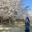 가제산 정상 이미지