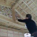 주왕산황토방 이미지