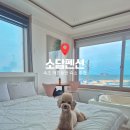 소담펜션 - 산청군 호암로701번길 155-38 | [애견 동반] 속초·고성 애견동반 여행 숙소 추천｜가성비 최고의 소담펜션 내돈내산 후기.