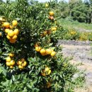 민건농장 이미지