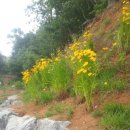 영미민박 이미지