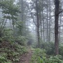 옥동포도농장 이미지