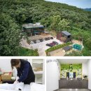 반려동물 이동서비스 이미지