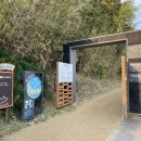 속초사잇길 제5길 이미지