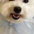 살롱드베베 이미지