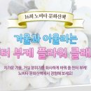 윈터 플라워 클래스 이미지