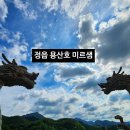 용산호호