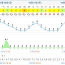 쌍솔식당 이미지
