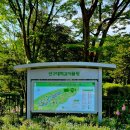 신구대학교식물원 갤러리 우촌 | 신구대학교 식물원(여름으로 가는 숲길...)