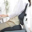 천지소프트 | 허리쿠션 베네폼 허리소프트 메모리폼으로 사무실 허리통증 끝내자!