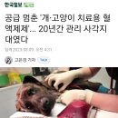 한국동물혈액은행 동물병원 네이버블로그