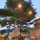 욜라뽕따 글램펜 | 포천 : 욜라뽕따글램펜 (내돈) 6인가족 후기