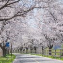 양평역 자전거주차장 이미지