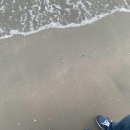 호텔 센트럴베이 이미지