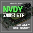 기대전기통신(주) | NVDY 배당금 솔직 후기 - 고배당 ETF 용돈 벌기