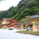 수피랑벼리랑 이미지