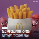 맥도날드(목원대점) | 맥도날드 고구마후라이 재출시 솔직후기 🍟 예전 맛 그대로일까?