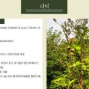 능전 이미지