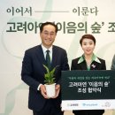 숲이음 티스토리