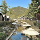 은하수휴게실 | 충북 괴산 근교 더진 글램핑 캠핑장 펜션 후기 파크오브드림