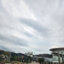 스타벅스 포항포스코DT