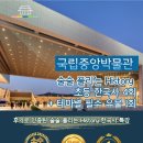 초등한국사(하) 이미지