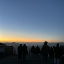 동강다슬기 이미지