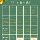 샐러드포레스트