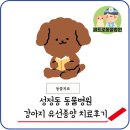 페트로 동물병원 이미지
