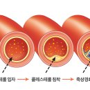 한희연소아청소년과의원 네이버블로그