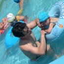 시현광택 이미지