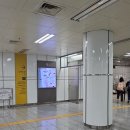 잠실종합운동장 제1수영장 | [원정수영] 2025.05.10 잠실 종합운동장 제1수영장