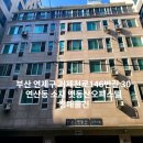 연제구-146 네이버블로그