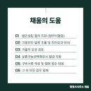 채움법무사사무소