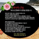 속초해뜨는집펜션 이미지