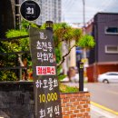 초전동막회집
