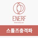 에너프(ENERF) 이미지