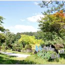 다솔관광농원 이미지