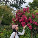 정화수도원 | 몽생미셸 당일투어 수도원 내돈내산 프랑스 파리 근교 여행 지베르니 옹플뢰르 가는법