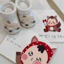 인큐템 | 현대해상 태아보험 실비 6배 페이백 선택 (내돈내산)