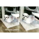 수아동물병원 이미지