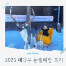 세븐일레븐 대덕연구단지점 | 2025 대덕구 눈썰매장 개장 아이와 가기 좋은 자연 속 장동문화공원 썰매장 후기