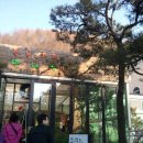 허브향기 이미지