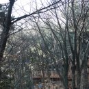 위드미(송도케이블카상부점) | 부산 여행, 송도해상케이블카를 타고 생긴 멋진 추억...!!