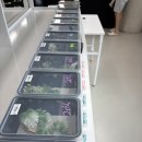 핑구펫 | 펫테일게코 분양 후기! 드디어 우리 집에 새로운 가족이 왔어요