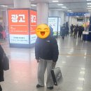 스시미유 | 죽지도않고돌아왔다