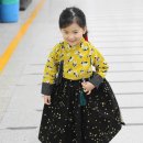 멍이날개 이미지