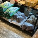 빵드모렐라 이미지