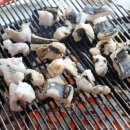 해양곰장어 이미지